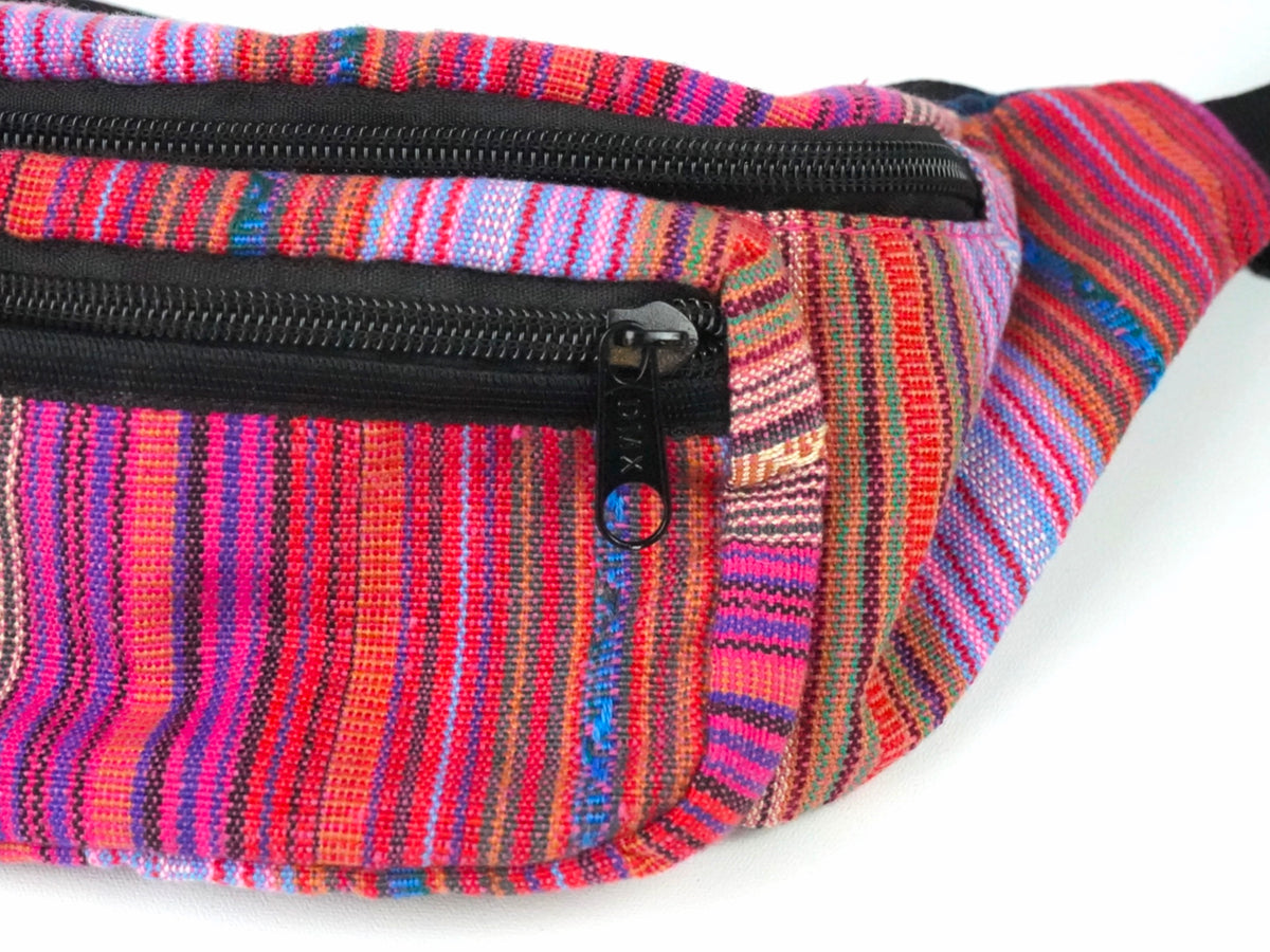 Pink with Blue back Buckle Fanny
